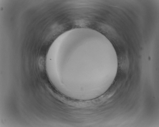 X0000067400036200604132008