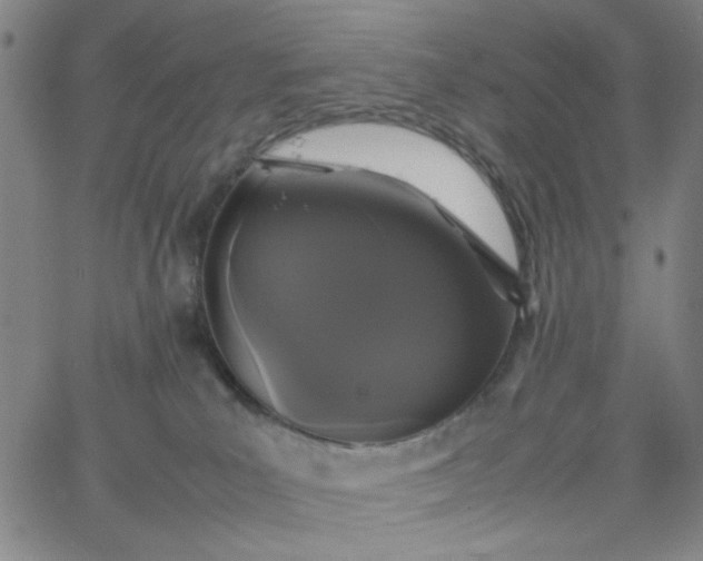 X0000067400039200604132008