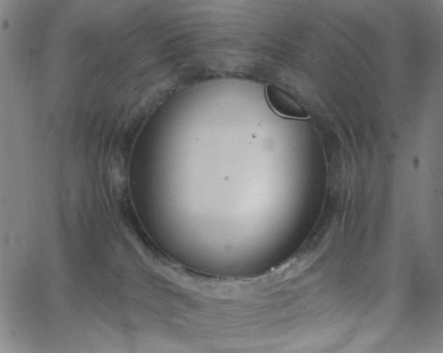 X0000067400040200604132008