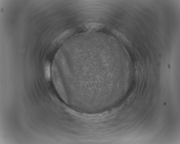 X0000067400042200604132008