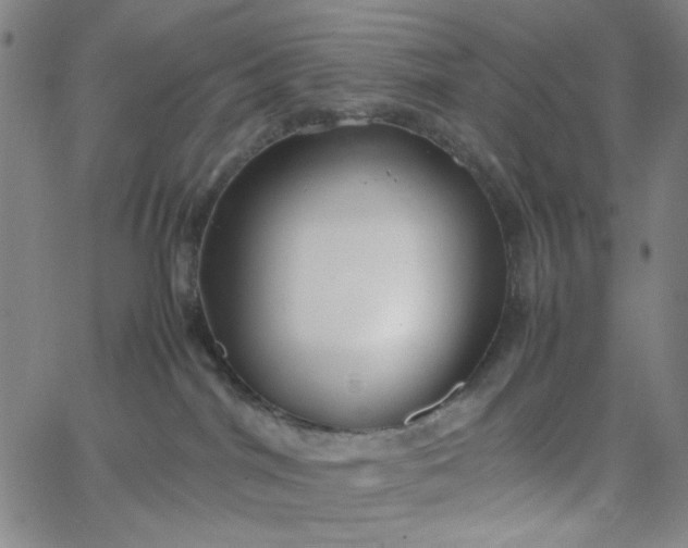 X0000067400044200604132008