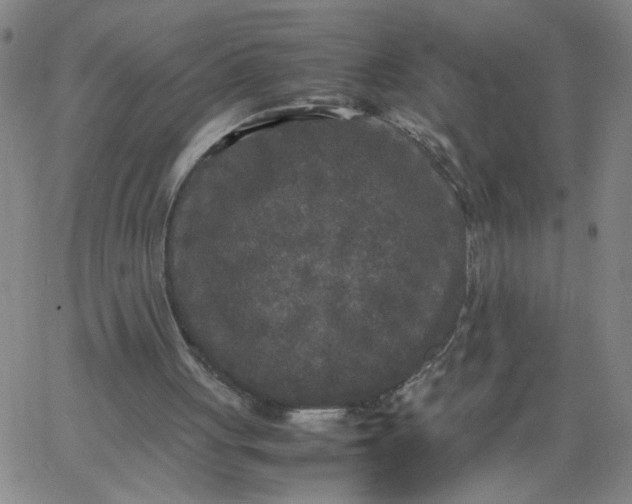 X0000067400051200604132007