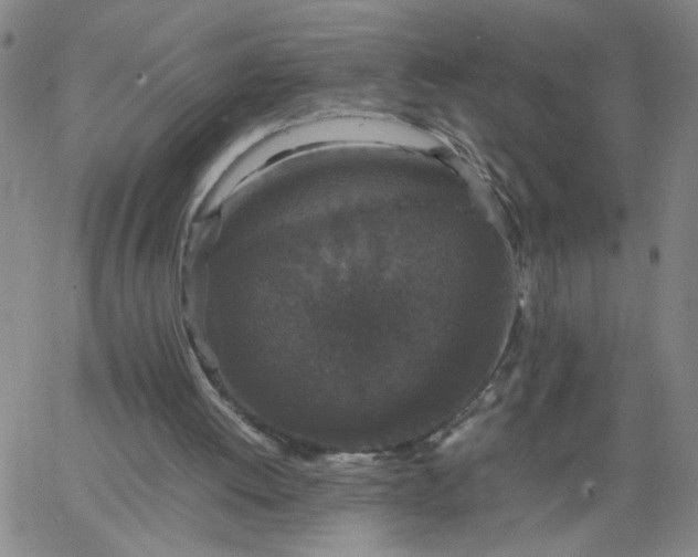 X0000067400052200604132007
