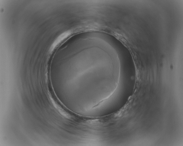X0000067400054200604132007