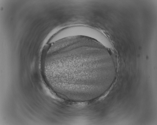 X0000067400056200604132007