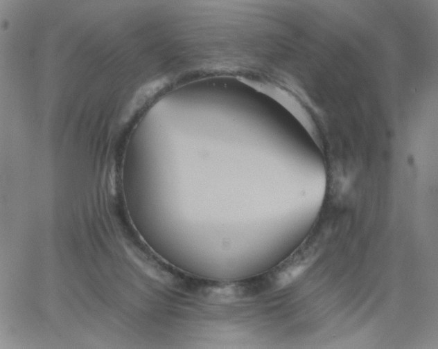 X0000067400068200604132007