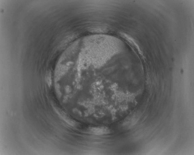 X0000067400069200604132007