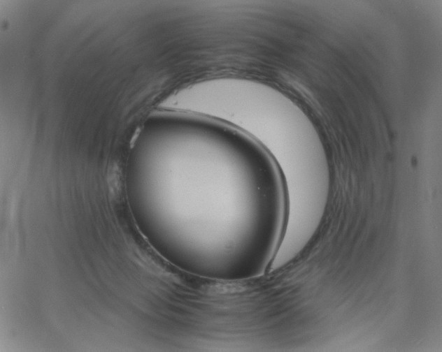 X0000067400077200604132007