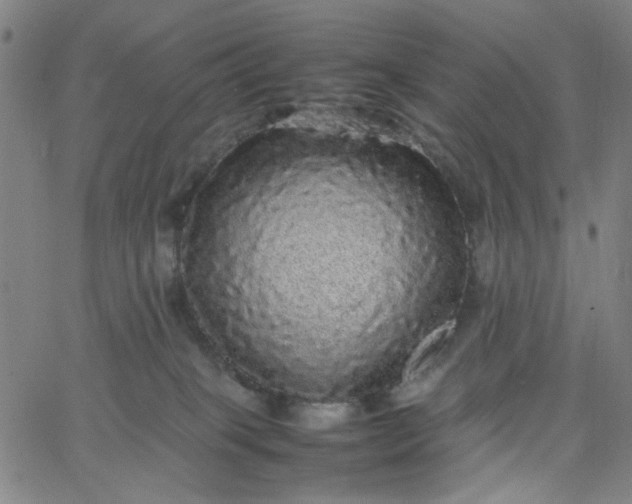 X0000067400085200604132007