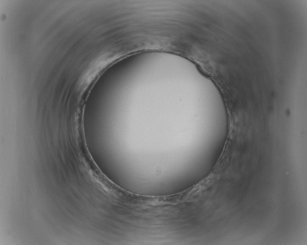 X0000067400098200604132007