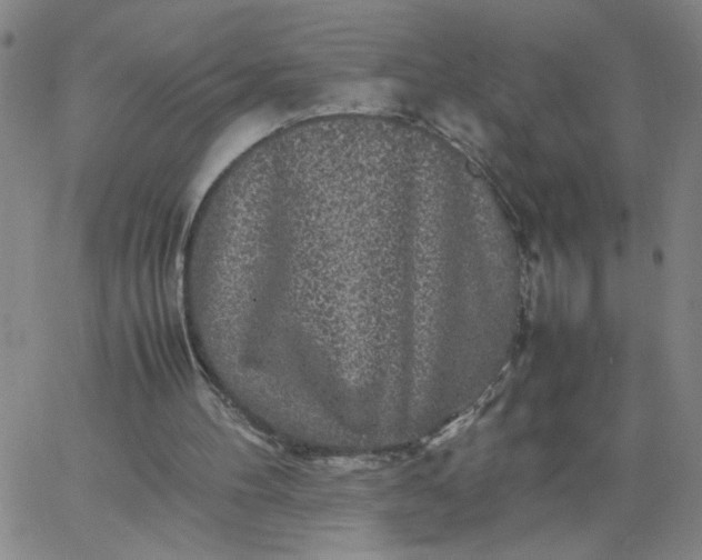 X0000067400100200604132007