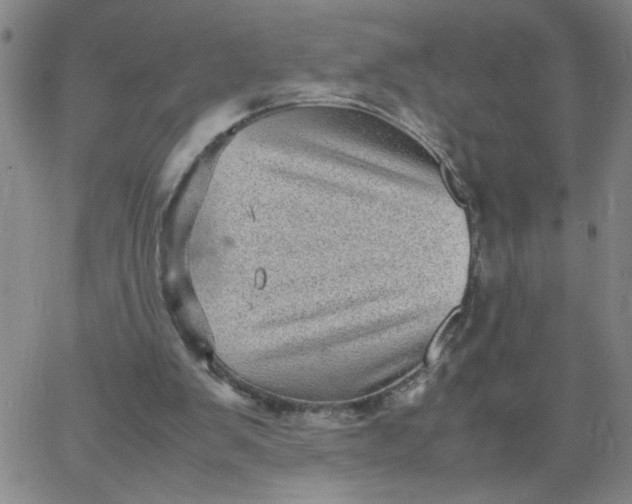 X0000067400103200604132007