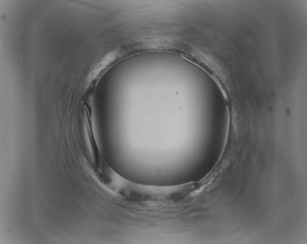 X0000067400105200604132007