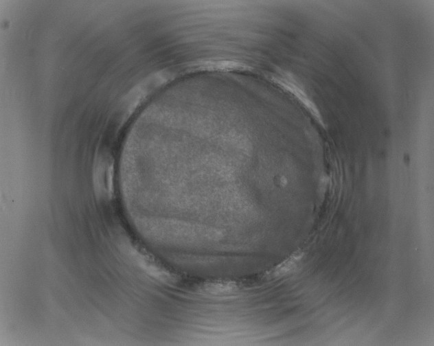 X0000067400110200604132006