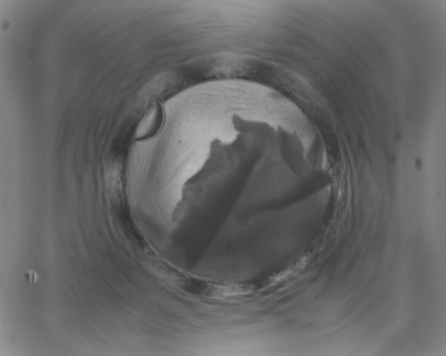 X0000067400127200604132006