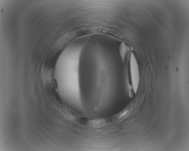 X0000067400139200604132006