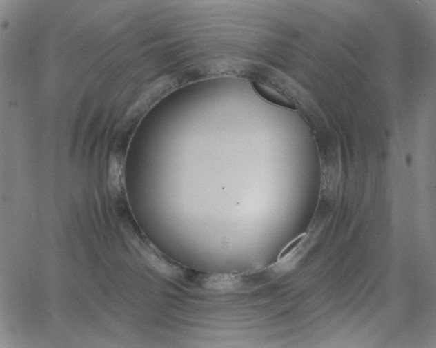 X0000067400142200604132006