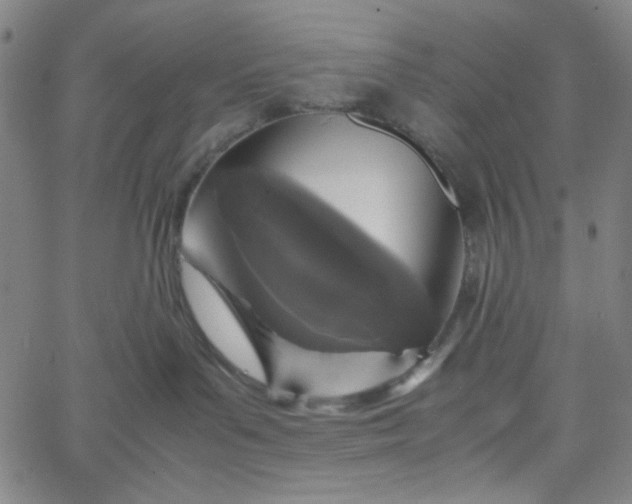 X0000067400143200604132006