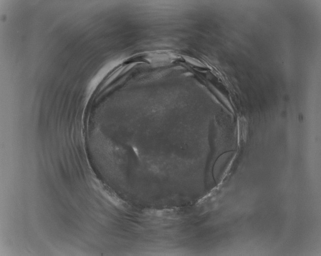 X0000067400147200604132005