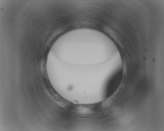 X0000067400167200604132005