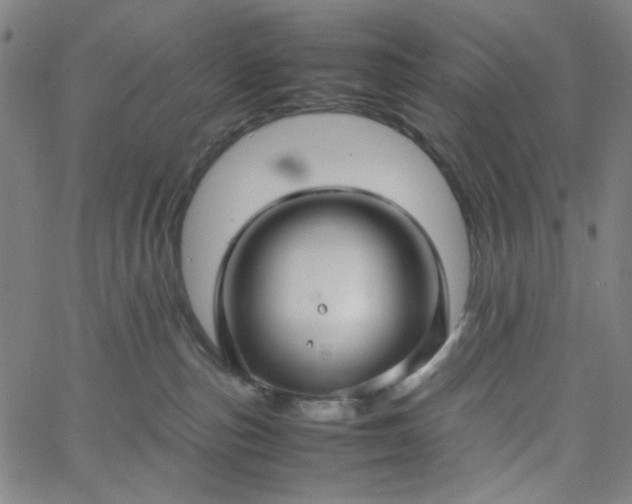 X0000067400187200604132006