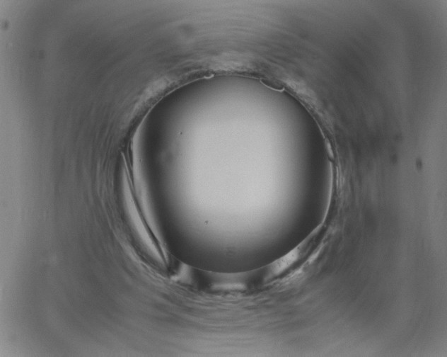 X0000067400201200604132005