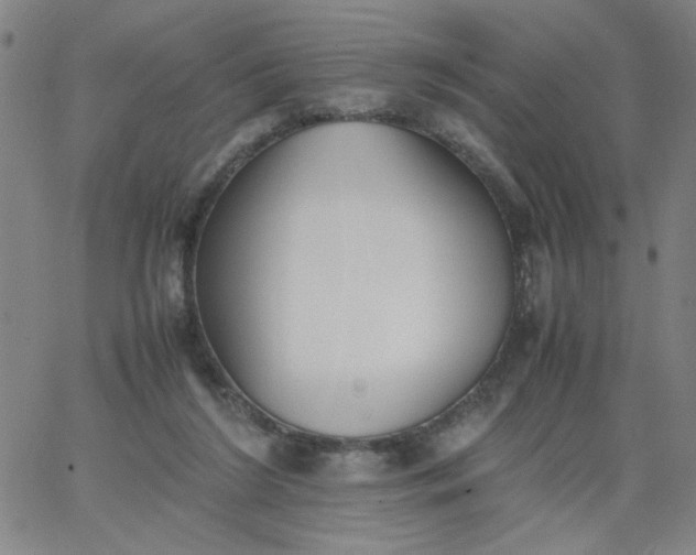 X0000067400212200604132005