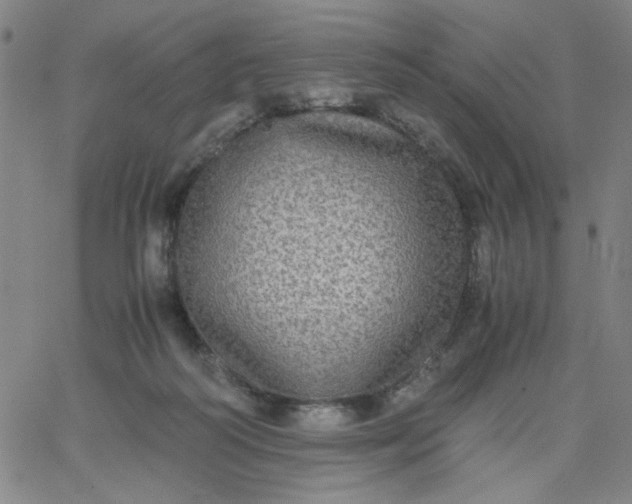 X0000067400218200604132005