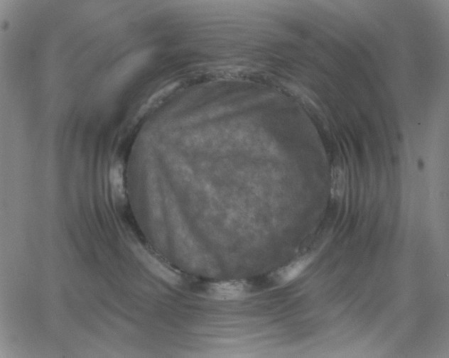 X0000067400238200604132004