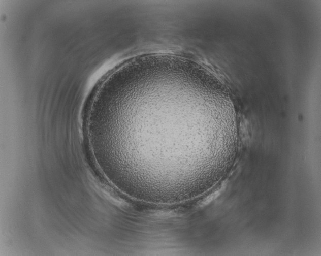 X0000067400246200604132004