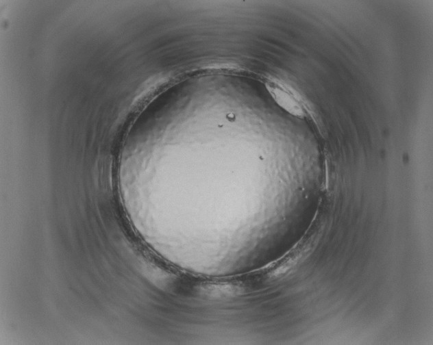 X0000067400253200604132004