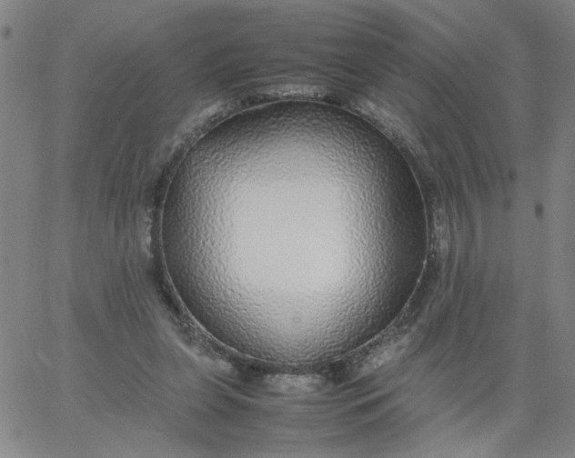 X0000067400255200604132004