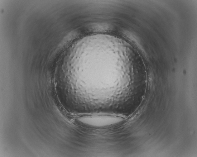 X0000067400257200604132004