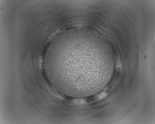 X0000067400279200604132004