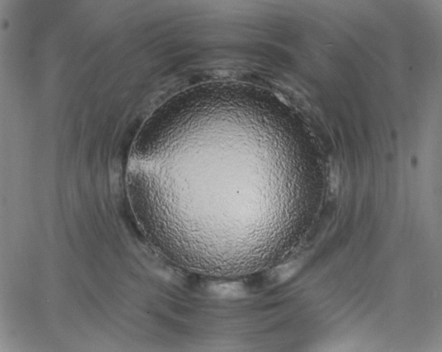 X0000067400283200604132004
