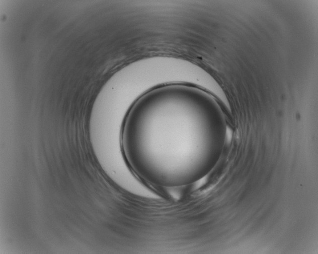 X0000067400287200604132004