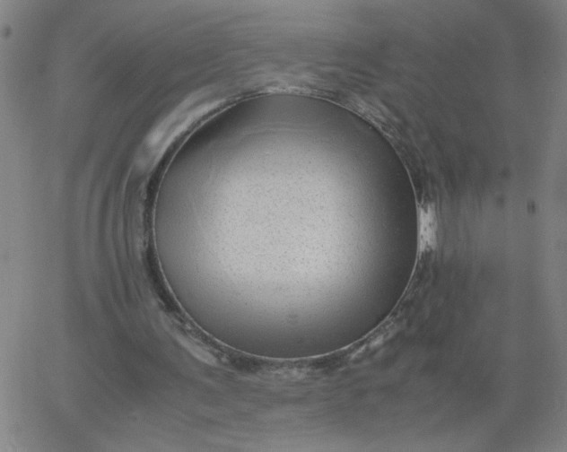 X0000067400291200604132004