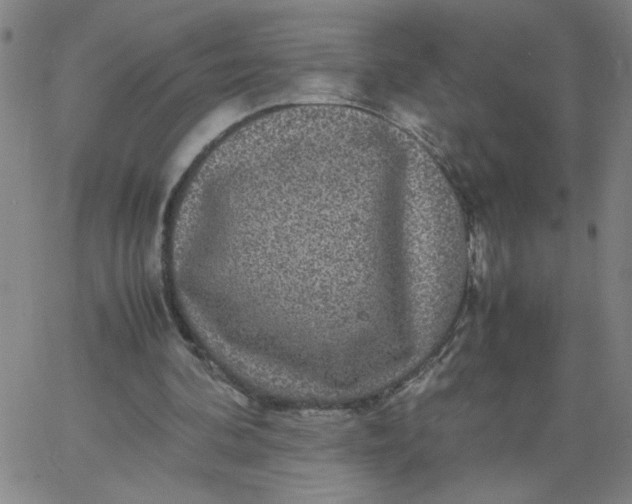X0000067400292200604132003