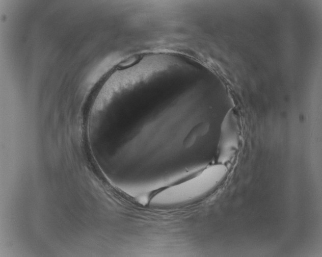 X0000067400295200604132003