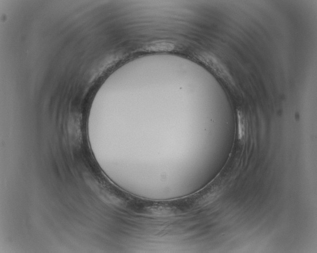 X0000067400300200604132003