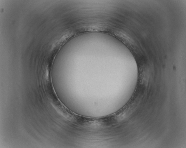 X0000067400310200604132003
