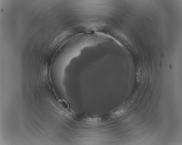 X0000067400314200604132003