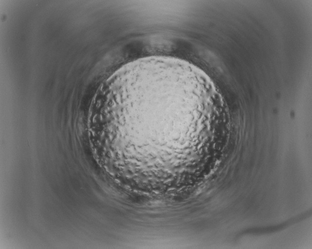 X0000067400323200604132003