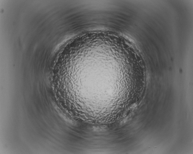 X0000067400345200604132002