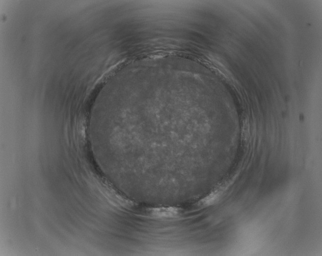 X0000067400363200604132002
