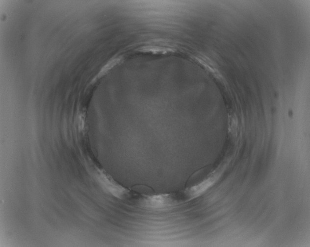 X0000067400382200604132003