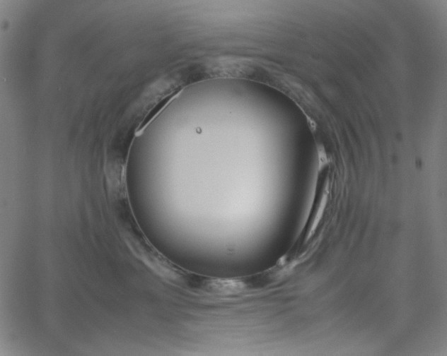 X0000067400429200604132001
