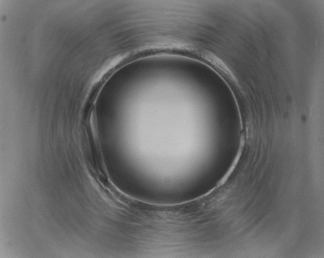 X0000067400436200604132000