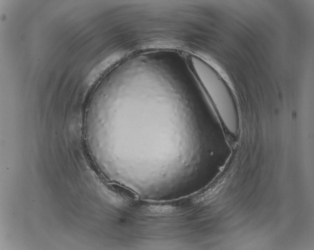 X0000067400437200604132000