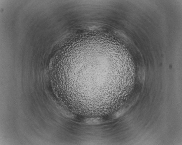 X0000067400461200604132001